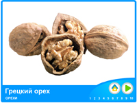 Дитяча презентація Горіхи