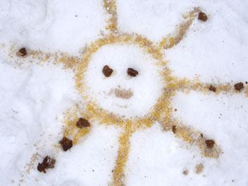 Малюнок зерном і насінням