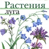 Атлас. Рослини луга