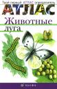 Атлас для дітей
