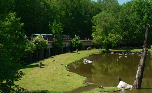 Чеський зоопарк