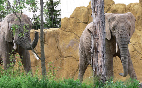 Відпочинок з дітьми в Чехії