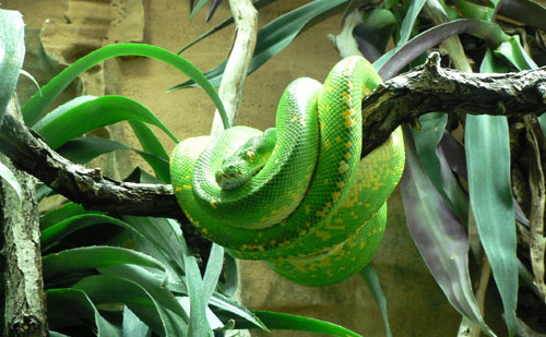 Зоопарк. Відпочинок з дітьми в Чехії