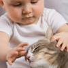 Дитина і кішка