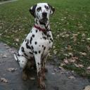 Вивчаємо навколишній світ