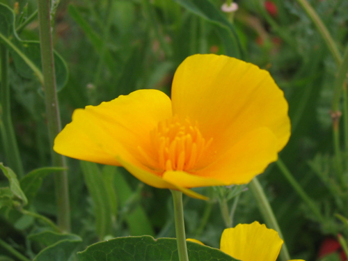 Вплив гімнастики на дитячий організм