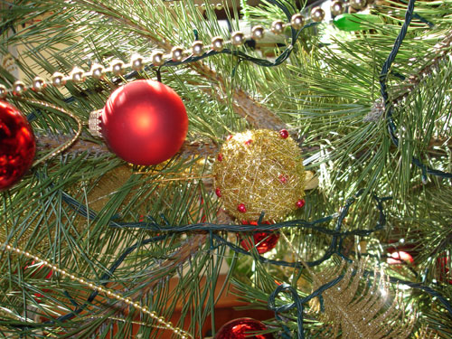 Фото. Новий рік